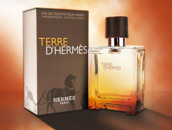 ادکلن مردانه تق هرمس پرفیوم Terre D-Hermes طرح اصلی
